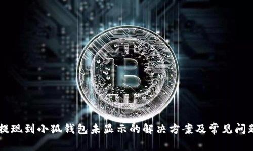 币安提现到小狐钱包未显示的解决方案及常见问题解答