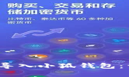 如何将Satoshi导入小狐钱包：详细步骤与指南
