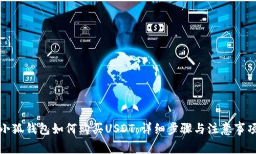 小狐钱包如何购买USDT：详细步骤与注意事项