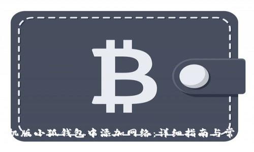 如何在手机版小狐钱包中添加网络：详细指南与常见问题解答