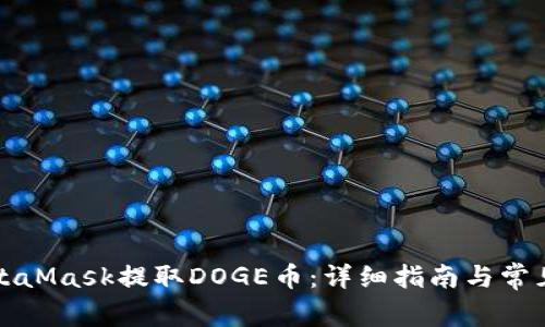 如何在MetaMask提取DOGE币：详细指南与常见问题解答