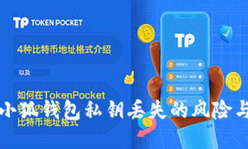 如何应对小狐钱包私钥丢失的风险与解决方案