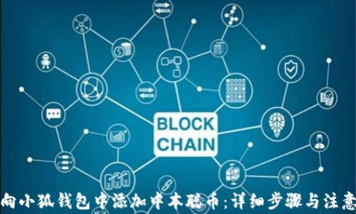 
如何向小狐钱包中添加中本聪币：详细步骤与注意事项