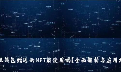 小狐钱包赠送的NFT能使用吗？全面解析与应用场景
