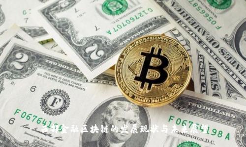 西部金融区块链的发展现状与未来展望