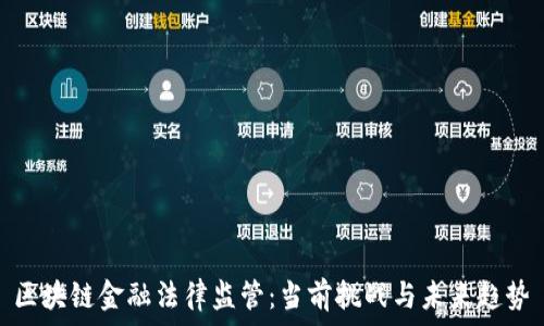   
区块链金融法律监管：当前挑战与未来趋势