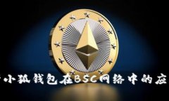 全面解析小狐钱包在BSC网络中的应用及优势