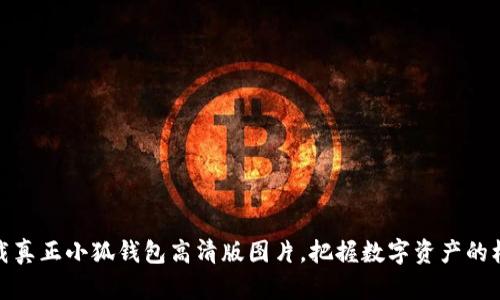 下载真正小狐钱包高清版图片，把握数字资产的机遇
