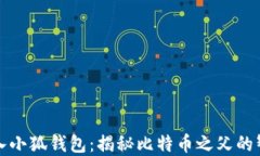 中本聪导入小狐钱包：揭秘比特币之父的智慧与