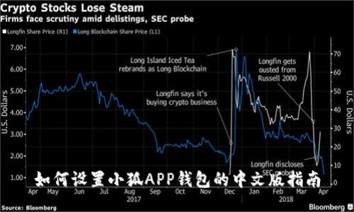 如何设置小狐APP钱包的中文版指南