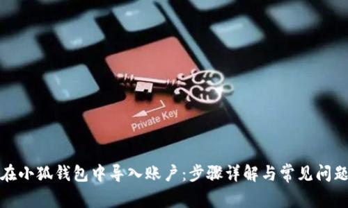 如何在小狐钱包中导入账户：步骤详解与常见问题解答