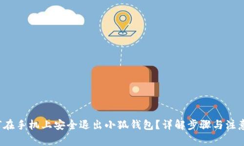  如何在手机上安全退出小狐钱包？详解步骤与注意事项