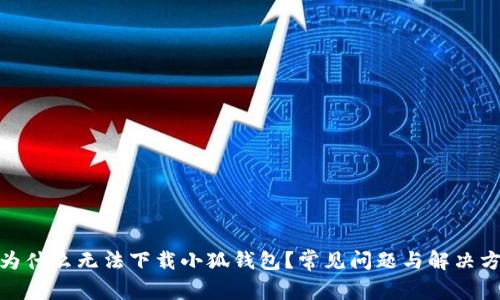 : 为什么无法下载小狐钱包？常见问题与解决方案