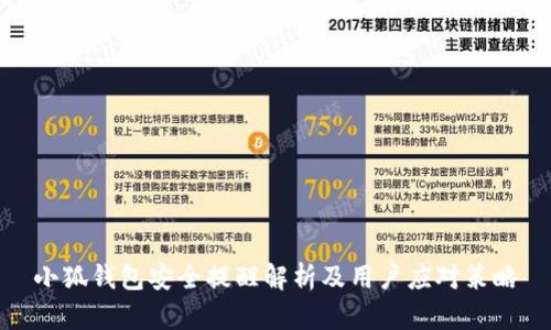 小狐钱包安全提醒解析及用户应对策略