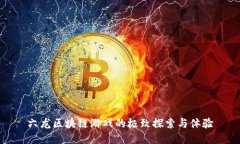 六龙区块链游戏的极致探索与体验