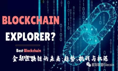  金融区块链的未来：趋势、挑战与机遇