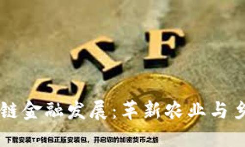 国外农村区块链金融发展：革新农业与乡村经济的未来
