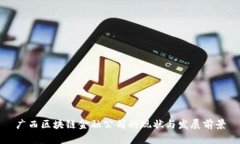 广西区块链金融公司的现状与发展前景