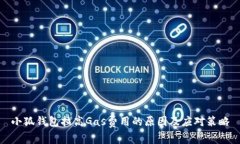 小狐钱包拉高Gas费用的原因及应对策略