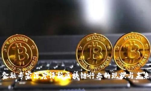 金融专家深度评析区块链行业的现状与未来