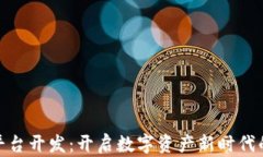 金融区块链平台开发：开启数字资产新时代的机