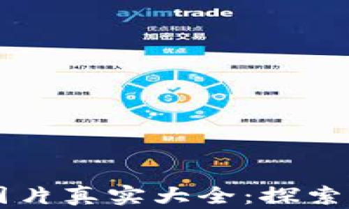 
小狐钱包的图片真实大全：探索其功能与特色