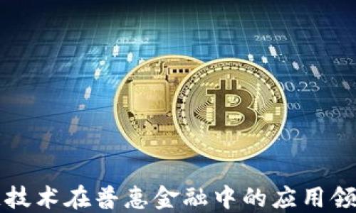 
区块链技术在普惠金融中的应用领域探讨