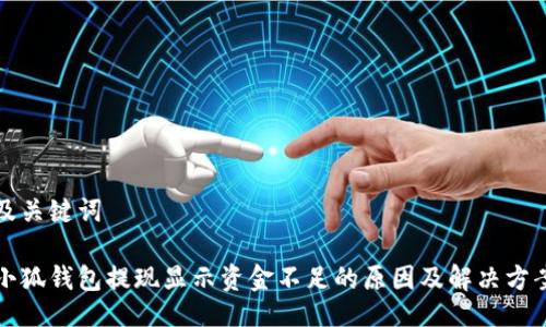 及关键词

小狐钱包提现显示资金不足的原因及解决方案
