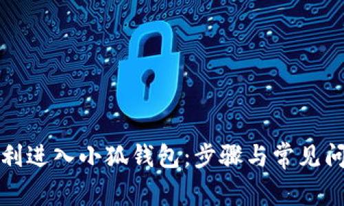 如何顺利进入小狐钱包：步骤与常见问题解答