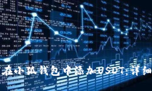 如何在小狐钱包中添加USDT：详细指南