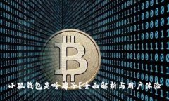 小狐钱包是啥牌子？全面解析与用户体验