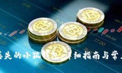 如何找回丢失的小狐钱包：详细指南与常见问题