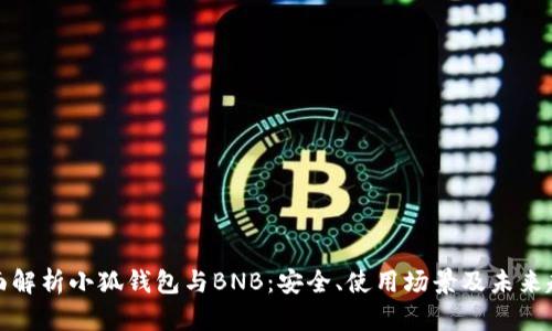 全面解析小狐钱包与BNB：安全、使用场景及未来趋势