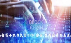 全面解析小狐钱包与BNB：安全、使用场景及未来