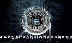 小狐钱包为什么总闪退？探讨原因及解决方案