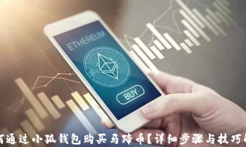 
如何通过小狐钱包购买马蹄币？详细步骤与技巧解析