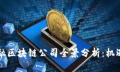 香港金融区块链公司全景分析：机遇与挑战