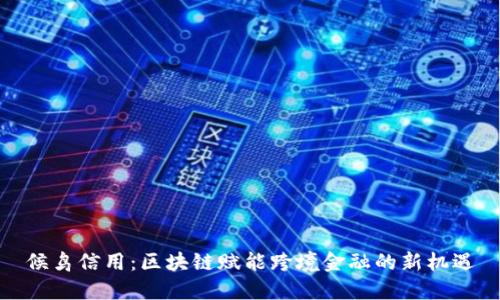 候鸟信用：区块链赋能跨境金融的新机遇