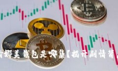 小狐想偷娜美钱包是哪集？揭开剧情背后的秘密