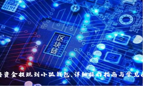 : 如何将资金提现到小狐钱包，详细操作指南与常见问题解答