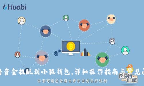 : 如何将资金提现到小狐钱包，详细操作指南与常见问题解答