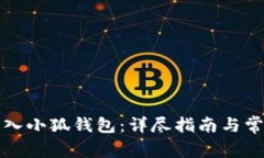 如何重新进入小狐钱包：详尽指南与常见问题解