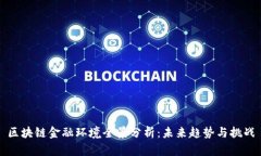 区块链金融环境全景分析：未来趋势与挑战