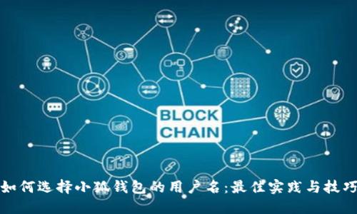 如何选择小狐钱包的用户名：最佳实践与技巧