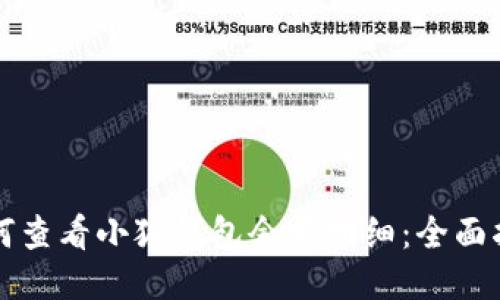 如何查看小狐钱包余额明细：全面指南