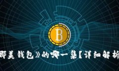 《小狐想偷娜美钱包》的哪一集？详细解析与剧