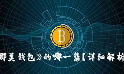 《小狐想偷娜美钱包》的哪一集？详细解析与剧情介绍