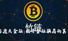 区块链与庞氏金融：揭开金融骗局的真相与警示
