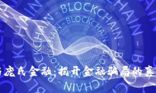区块链与庞氏金融：揭开金融骗局的真相与警示