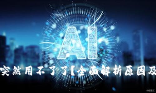 小狐钱包突然用不了了？全面解析原因及解决方案